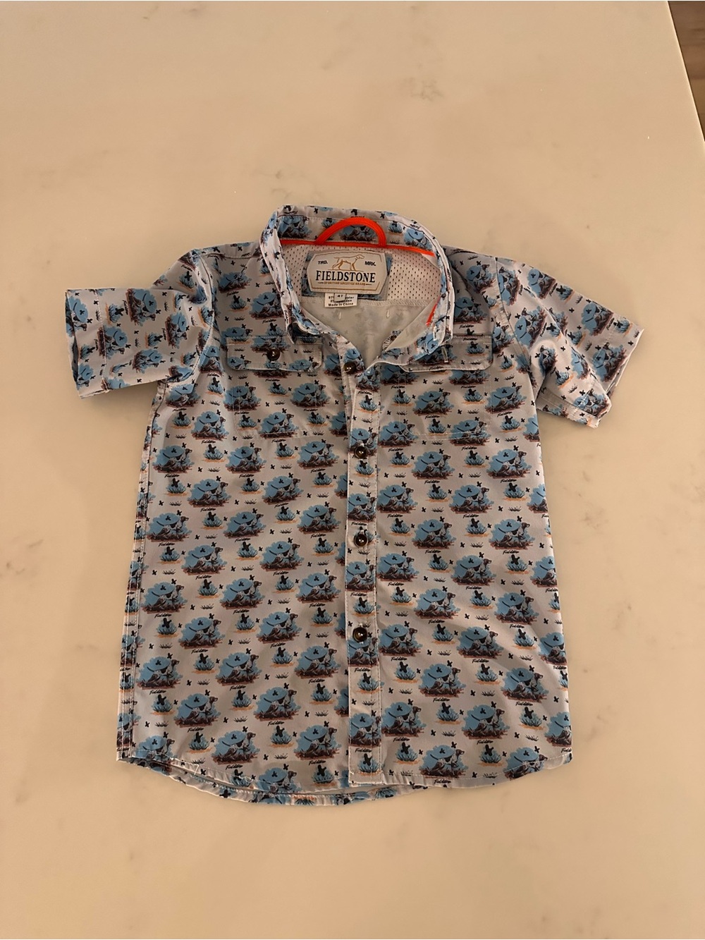 Fieldstone Boys' Light Blue Short-Sleeve Button-Down Shirt